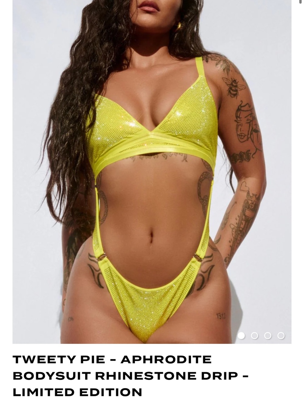 NWT Bodysuit
